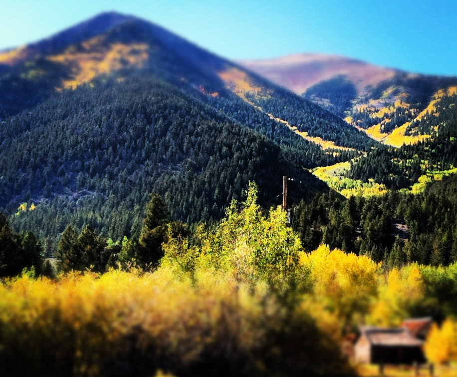 Aspen Fall | Aspen Leaf Peeping | Independence Pass