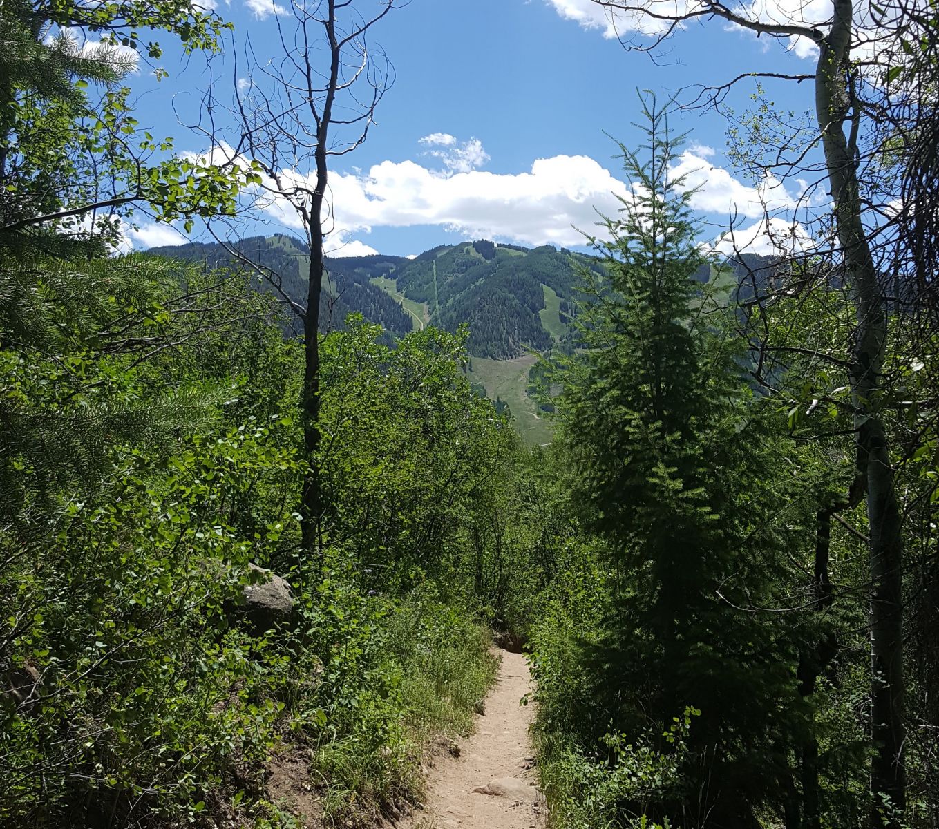 hiking hunter creek trail aspen