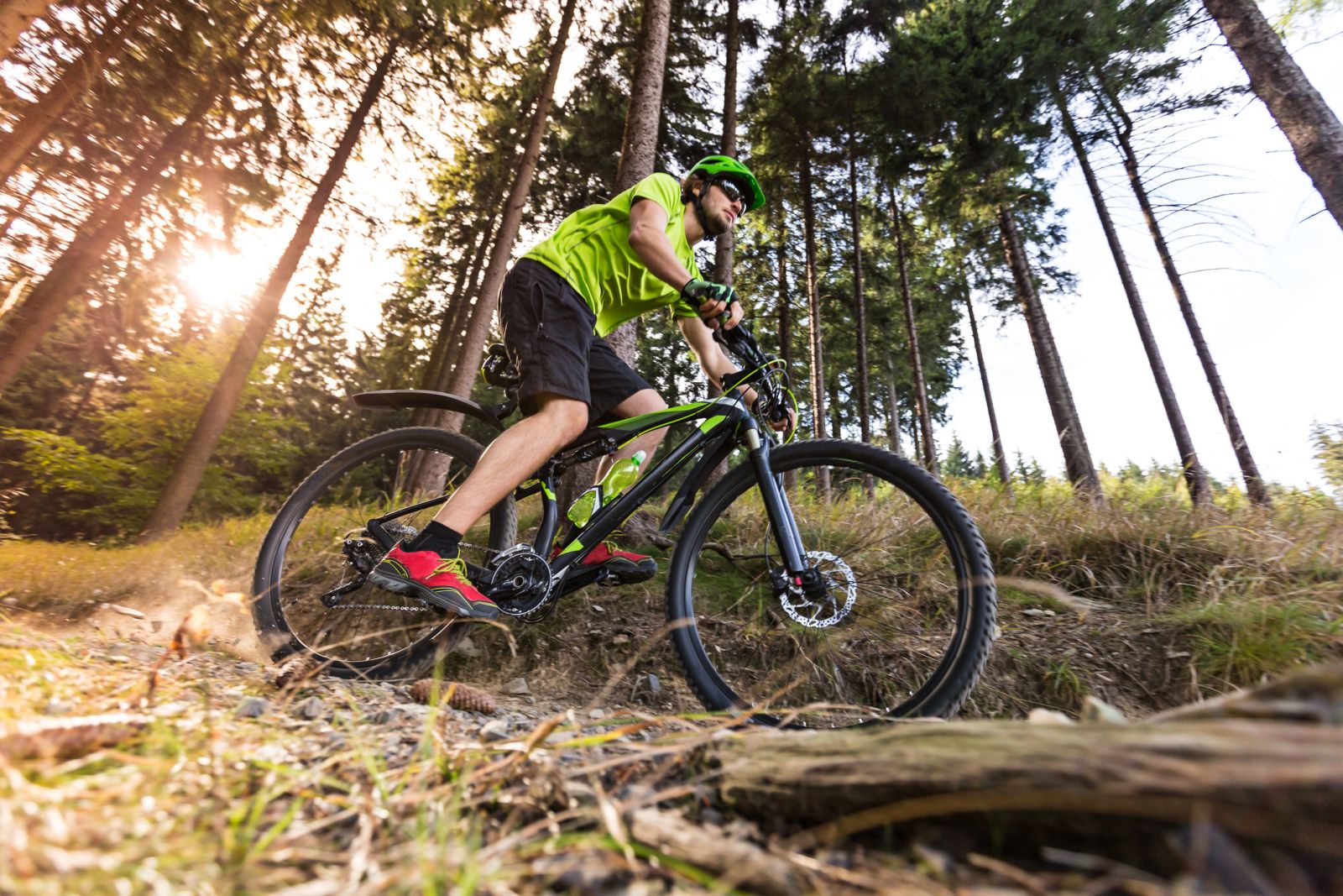 Mountain biking in Forest