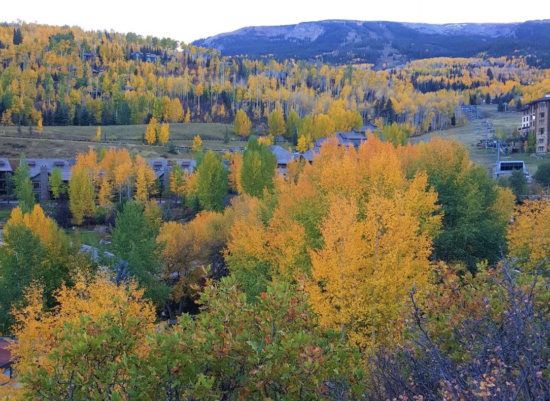 view of snowmass colorado in fall