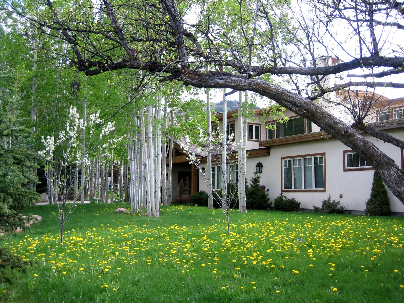 west aspen private home rental