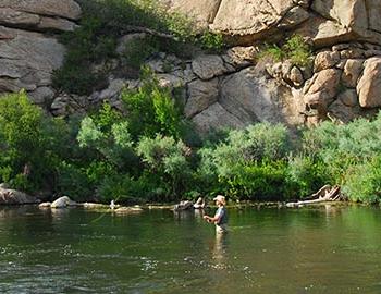 Aspen Fly Fishing Guide