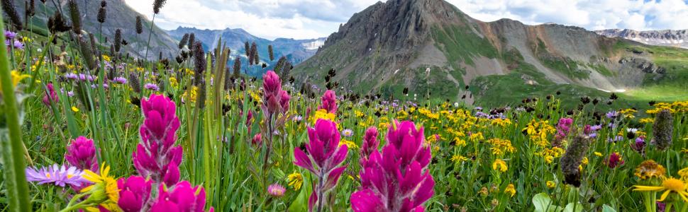 Top Things to Do in Aspen Summer