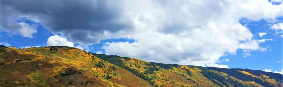 Fall Color Change in Aspen