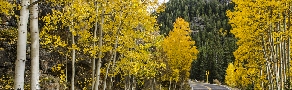 Independence Pass in the Fall