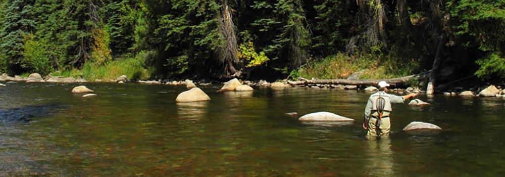 Aspen Fly Fishing Guide