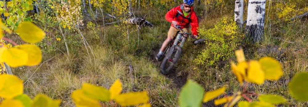mountain biking in aspen forest in fall
