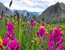Top Summer Things to Do in Aspen