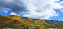 Fall Color Change in Aspen