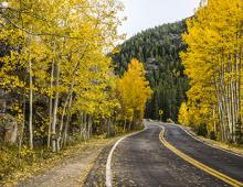 Independence Pass in the Fall