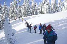 snowshoe tour