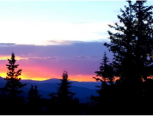 sunset trees aspen